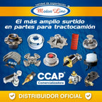 Banda Multi-v 6 Costillas / 1080 Mm X 21 Mm  / Motorline