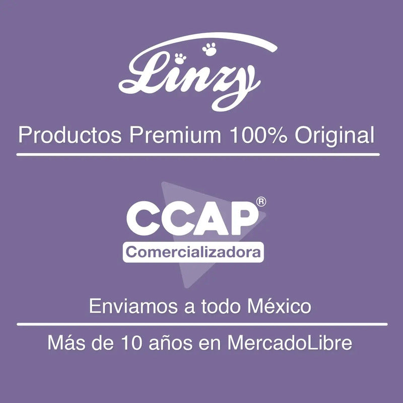 Muñeca De Trapo Y Tela Leisha / Linzy Toys