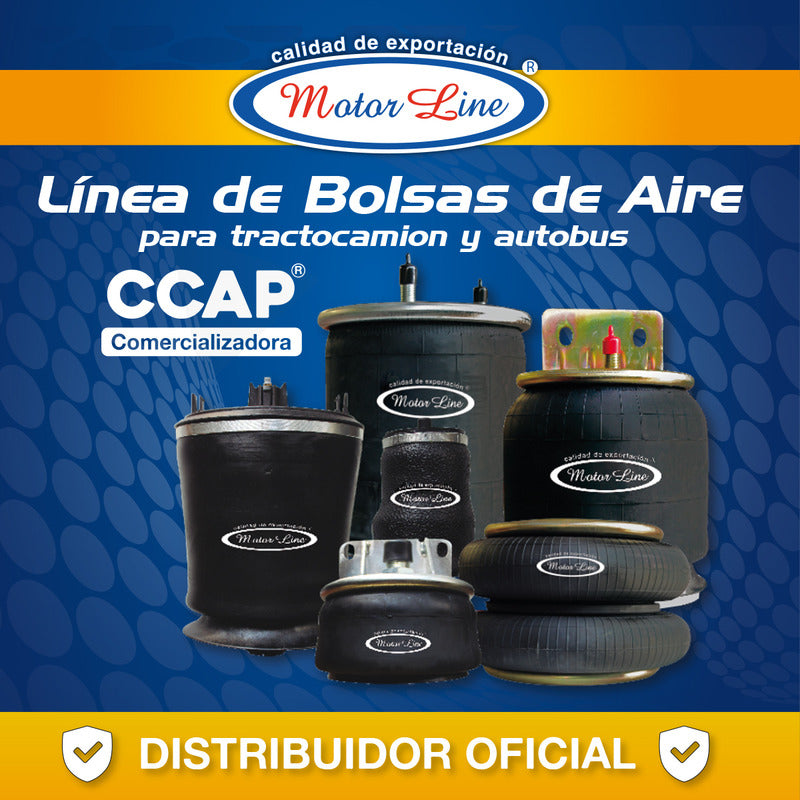 045 / Bolsa De Aire Motorline / International Prostar
