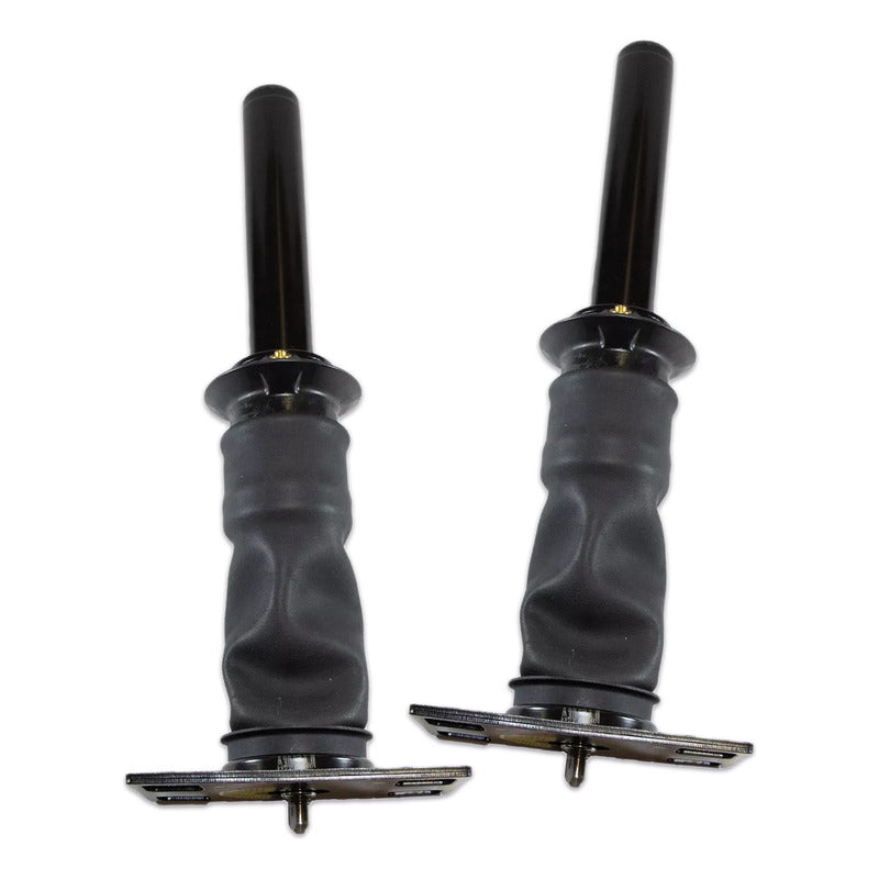 2 Bolsas De Aire Motorline / International  Prostar