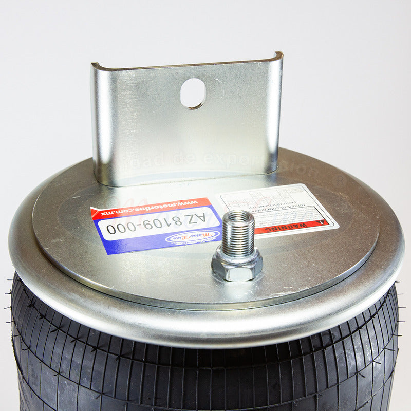048 / Bolsa Aire Trasera / 10.8 X 12  /international Prostar