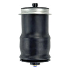 067 / Bolsa De Aire Cabina / International / Prostar / Lt