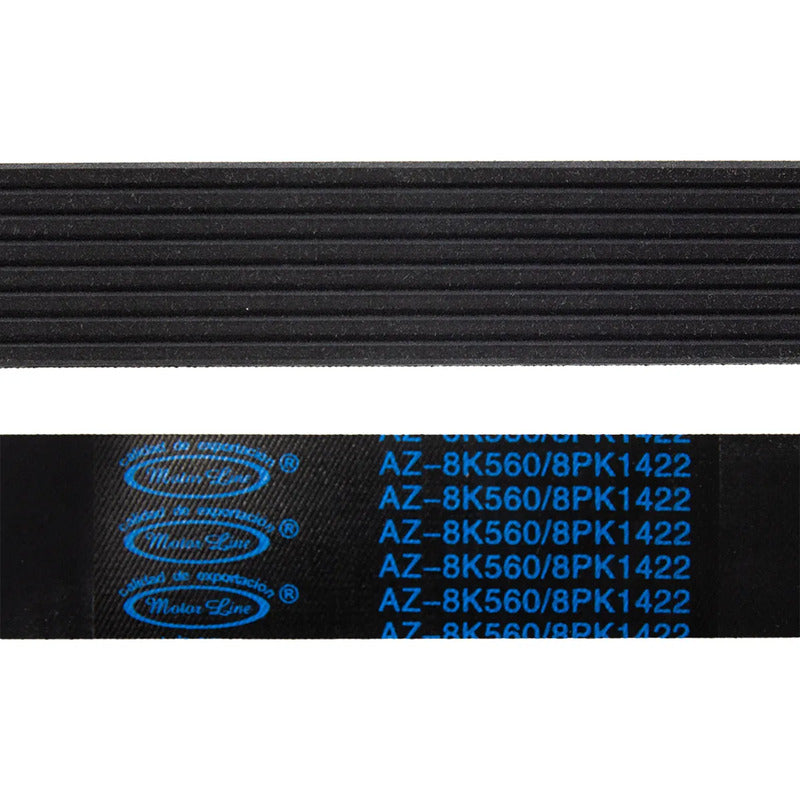 Banda Multi-v 8 Costillas / 1422 Mm X 28 Mm / Motorline