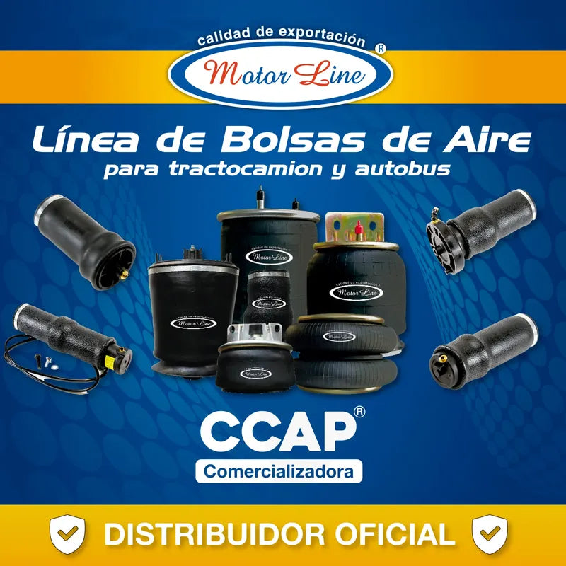 067 / Bolsa De Aire Cabina / International / Prostar / Lt